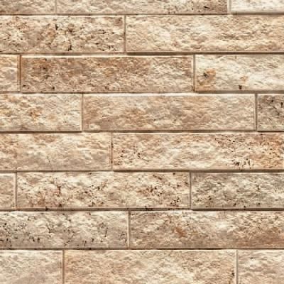Фиброцементная панель EJF572E